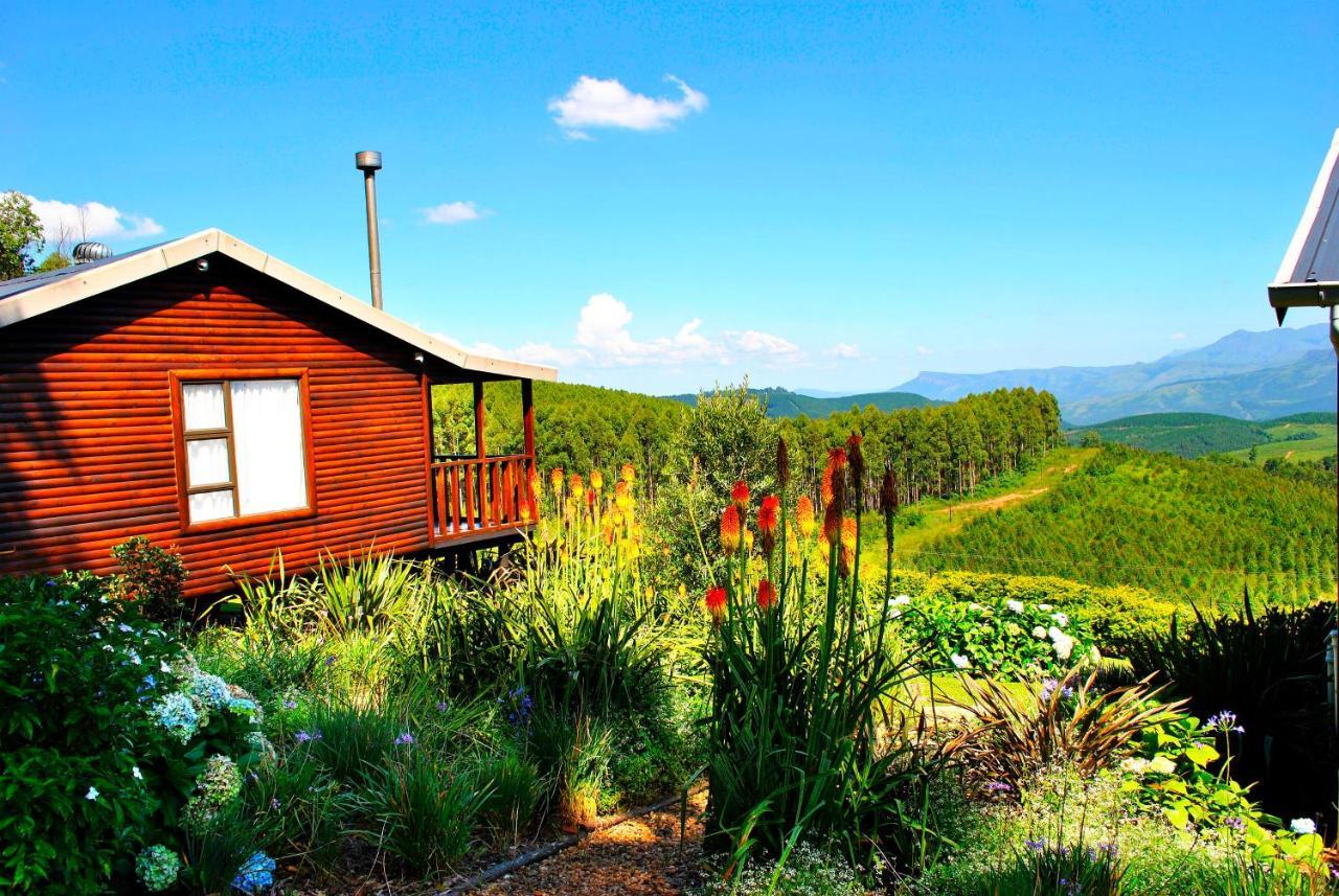 טזאנין Forest View Cabins מראה חיצוני תמונה