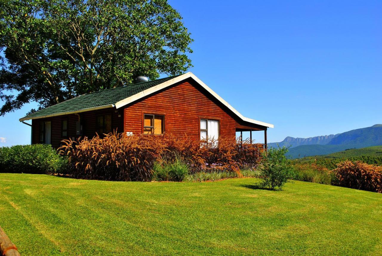 טזאנין Forest View Cabins מראה חיצוני תמונה