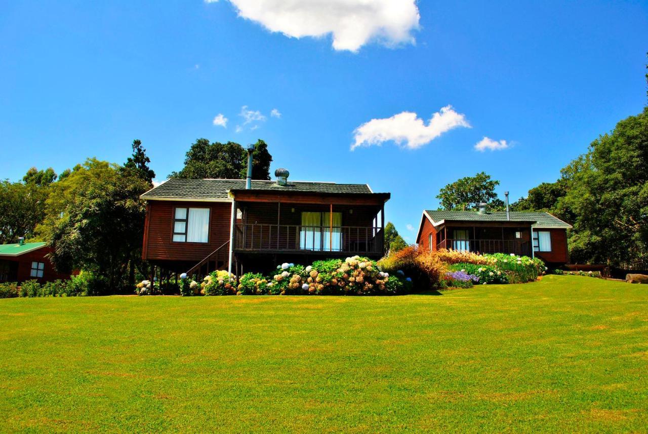 טזאנין Forest View Cabins מראה חיצוני תמונה