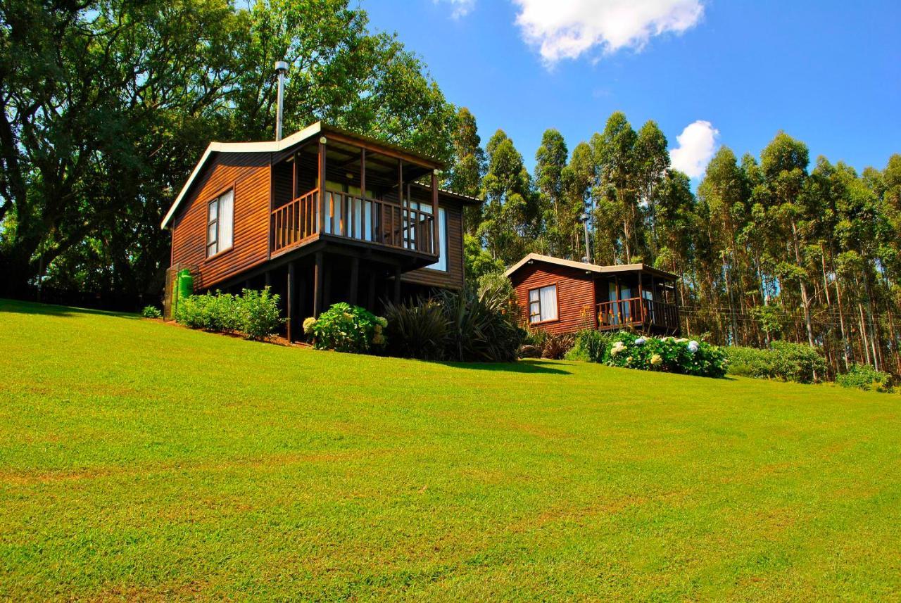 טזאנין Forest View Cabins מראה חיצוני תמונה