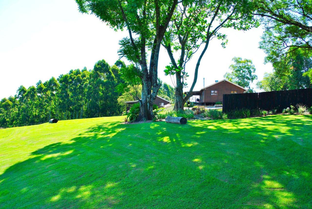 טזאנין Forest View Cabins מראה חיצוני תמונה