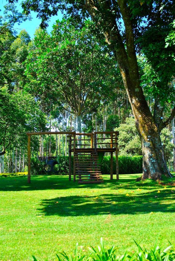 טזאנין Forest View Cabins מראה חיצוני תמונה