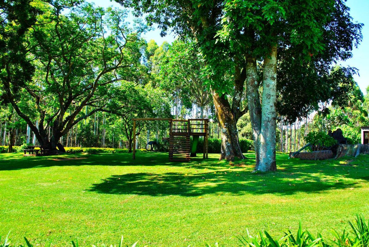 טזאנין Forest View Cabins מראה חיצוני תמונה