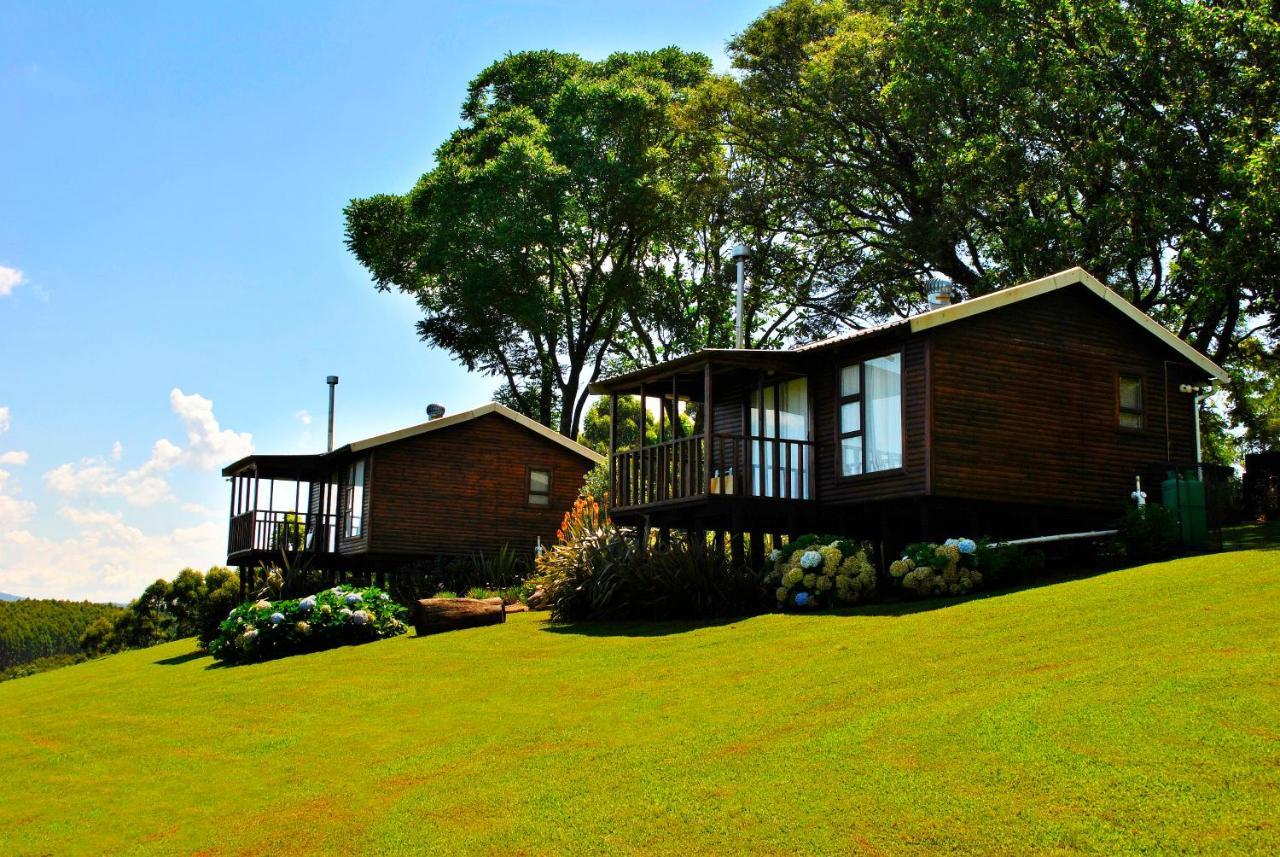 טזאנין Forest View Cabins מראה חיצוני תמונה