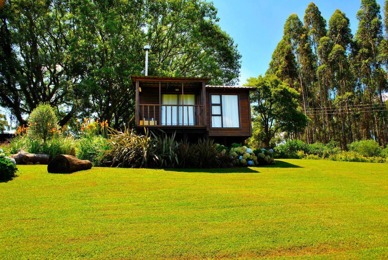 טזאנין Forest View Cabins מראה חיצוני תמונה