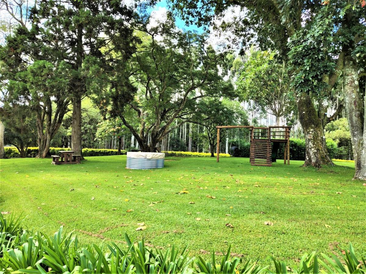 טזאנין Forest View Cabins מראה חיצוני תמונה